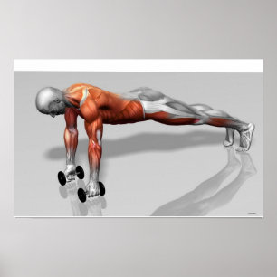 Setanta Push Up 4 Poster