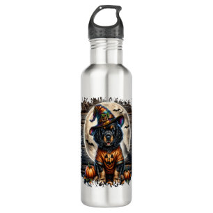 Setter Dog Halloween Square 710 Ml Water Bottle