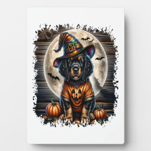 Setter Dog Halloween Square Plaque