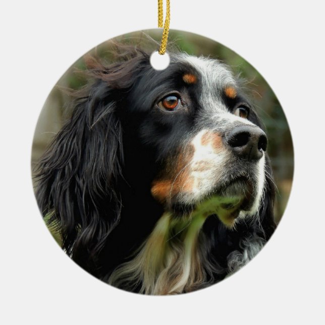 Setter Love Ceramic Tree Decoration (Front)