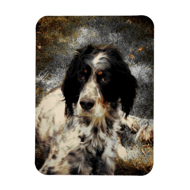 Setter Love Photo Magnet (Vertical)