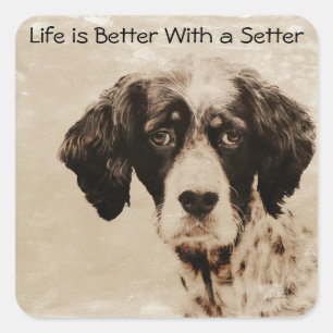 Setter Love Square Sticker