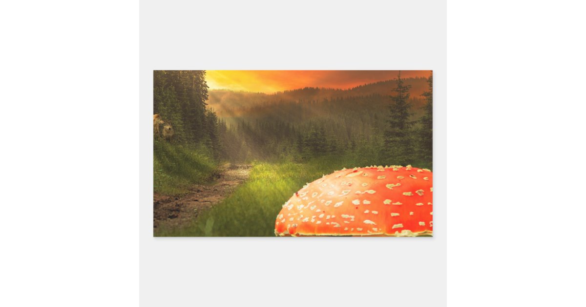 Setting Autumn Sun. Rectangular Sticker | Zazzle
