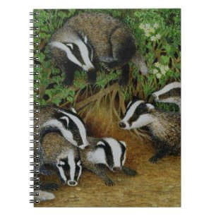 Setting Out Notebook