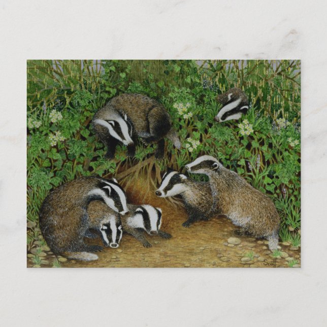 Setting Out Postcard (Front)