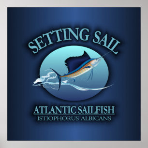 Setting Sail Poster