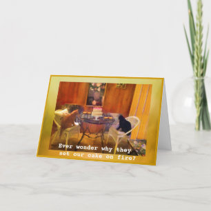 Setting the cake "on fire"!! --  Cat Birthday Card