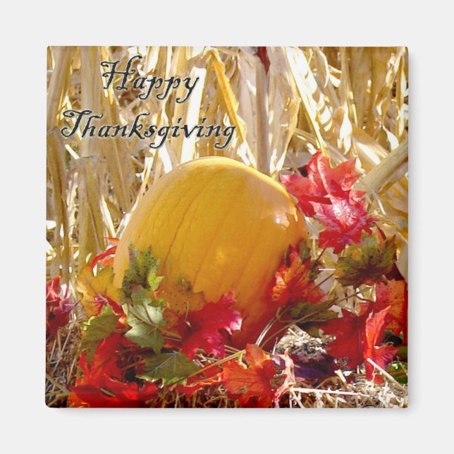 Settled in Red Magnet (Front)