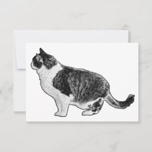 Settled Thanks, Soft Silhouette Thank You Card