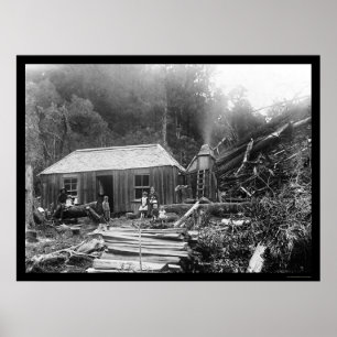 Settler Homestead in New Zealand 1906 Poster