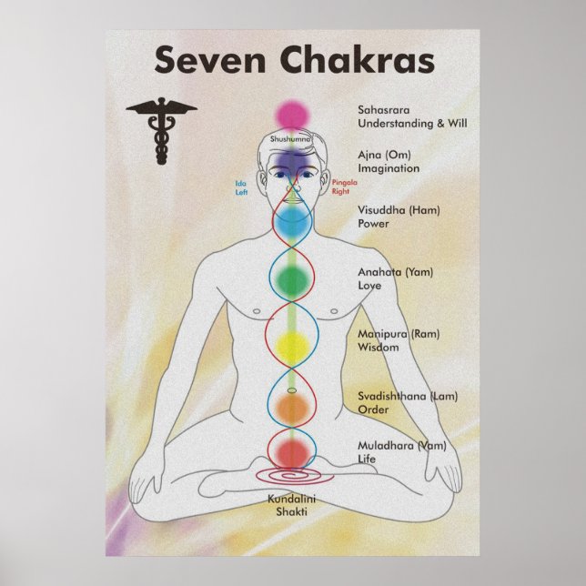 Seven Chakras Chart Diagram (Front)