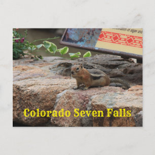 Seven Falls Colorado G Squirrel closeup Post Card
