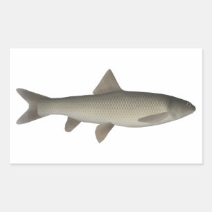 Seven Khramulya  Rectangular Sticker