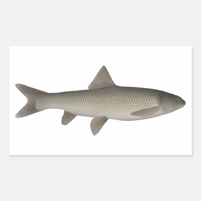 Seven Khramulya  Rectangular Sticker (Front)