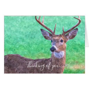 Seven Point Buck Painterly Thinking Of You Card