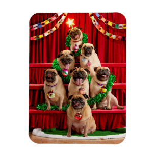 Seven Pugs-a-Posing Magnet