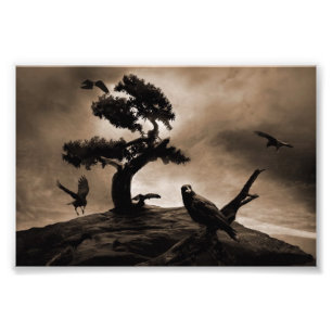 Seven Ravens Photo Print
