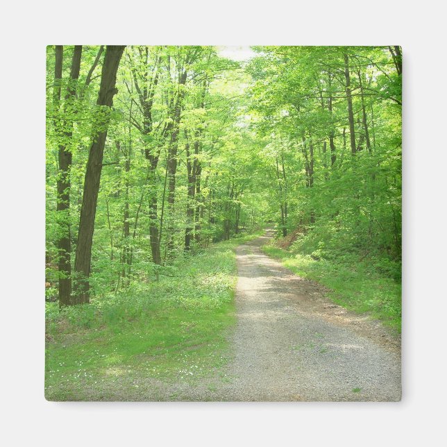 Seven Spring magnet (Front)