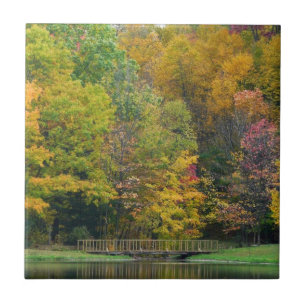 Seven Springs Fall Bridge II Autumn Landscape Tile