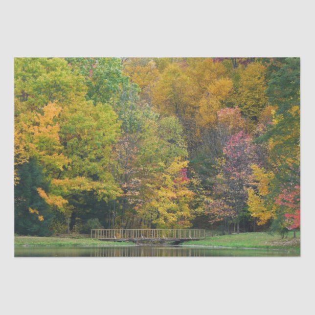 Seven Springs Fall Bridge II Autumn Landscape Tissue Paper (Front)