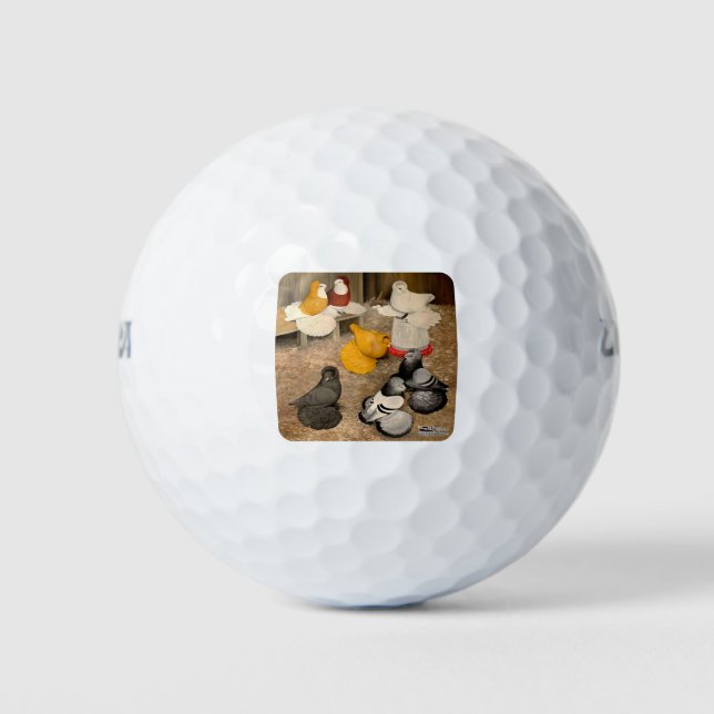 Seven Trumpeter Pigeons Golf Balls (Front)