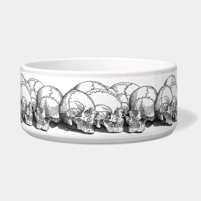 Seven Vintage Skulls (Right)