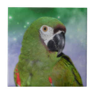 Severe Macaw Parrot Animal Ceramic Tile