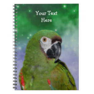 Severe Macaw Parrot Bird Art Notebook