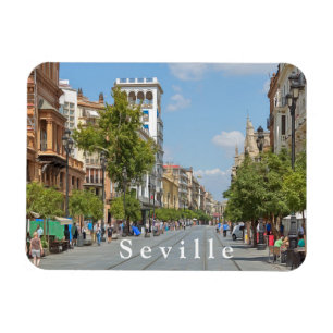 Seville. #36.   magnet