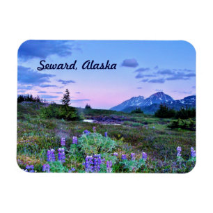 Seward, Alaska Magnet travel
