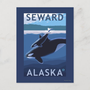 Seward, AlaskaOrca and Calf Scene Postcard