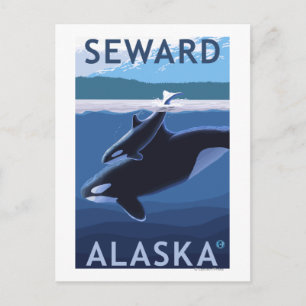 Seward, AlaskaOrca and Calf Scene Postcard