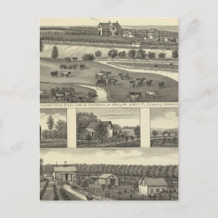 Seward Farms, Nebraska Postcard