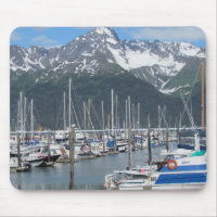 Seward Harbour, Alaska