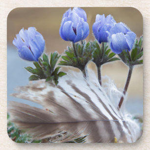 Seward Peninsula, Alaska, Arctic Wildflowers Coaster