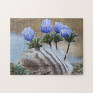 Seward Peninsula, Alaska, Arctic Wildflowers Jigsaw Puzzle
