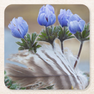 Seward Peninsula, Alaska, Arctic Wildflowers Square Paper Coaster