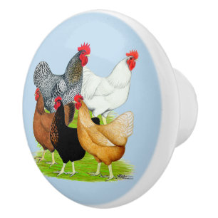 Sex-linked Chickens Quintet Ceramic Knob