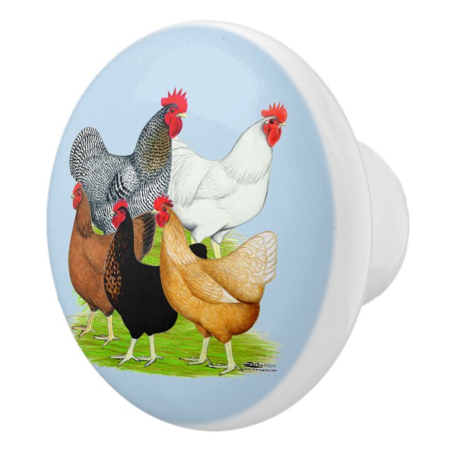 Sex-linked Chickens Quintet Ceramic Knob (Right)