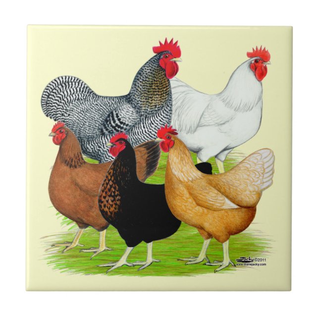 Sex-linked Chickens Quintet Ceramic Tile (Front)