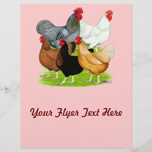 Sex-linked Chickens Quintet Flyer (Front)