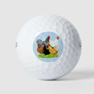 Sex-linked Chickens Quintet Golf Balls