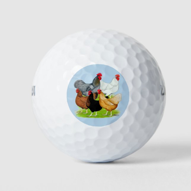 Sex-linked Chickens Quintet Golf Balls (Front)