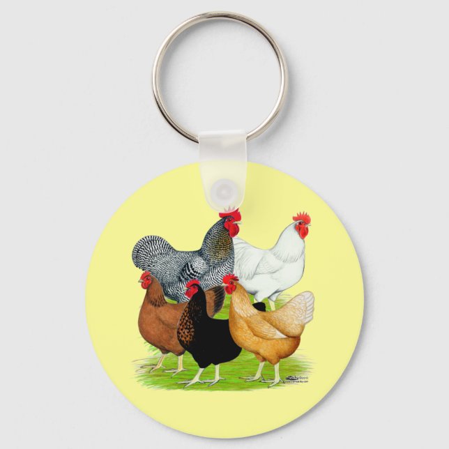 Sex-linked Chickens Quintet Key Ring (Front)