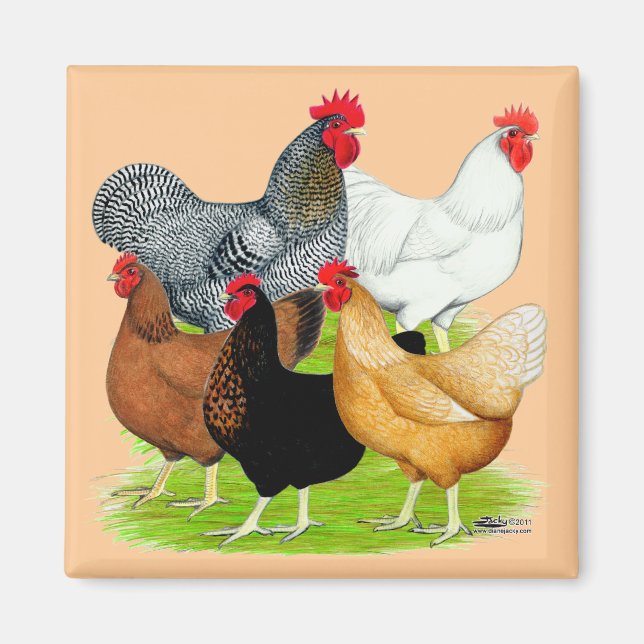 Sex-linked Chickens Quintet Magnet (Front)