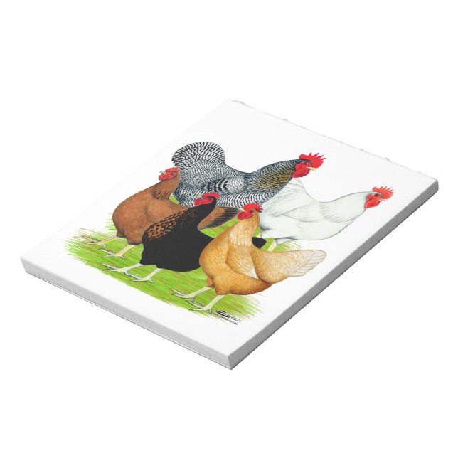 Sex-linked Chickens Quintet Notepad (Rotated)