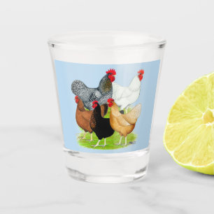 Sex-linked Chickens Quintet Shot Glass