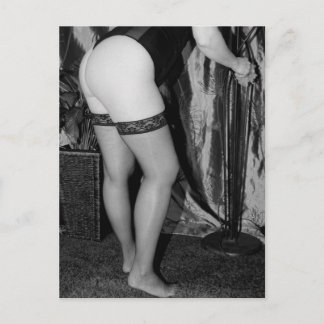 Sexy fish nets photo postcard