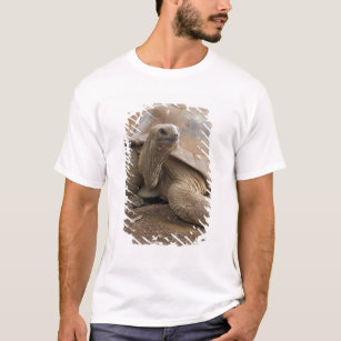 Seychelle Aldabran land tortoise T-Shirt