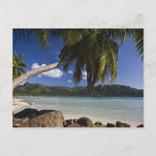 Seychelles, Mahe Island, Anse a la Mouche Postcard